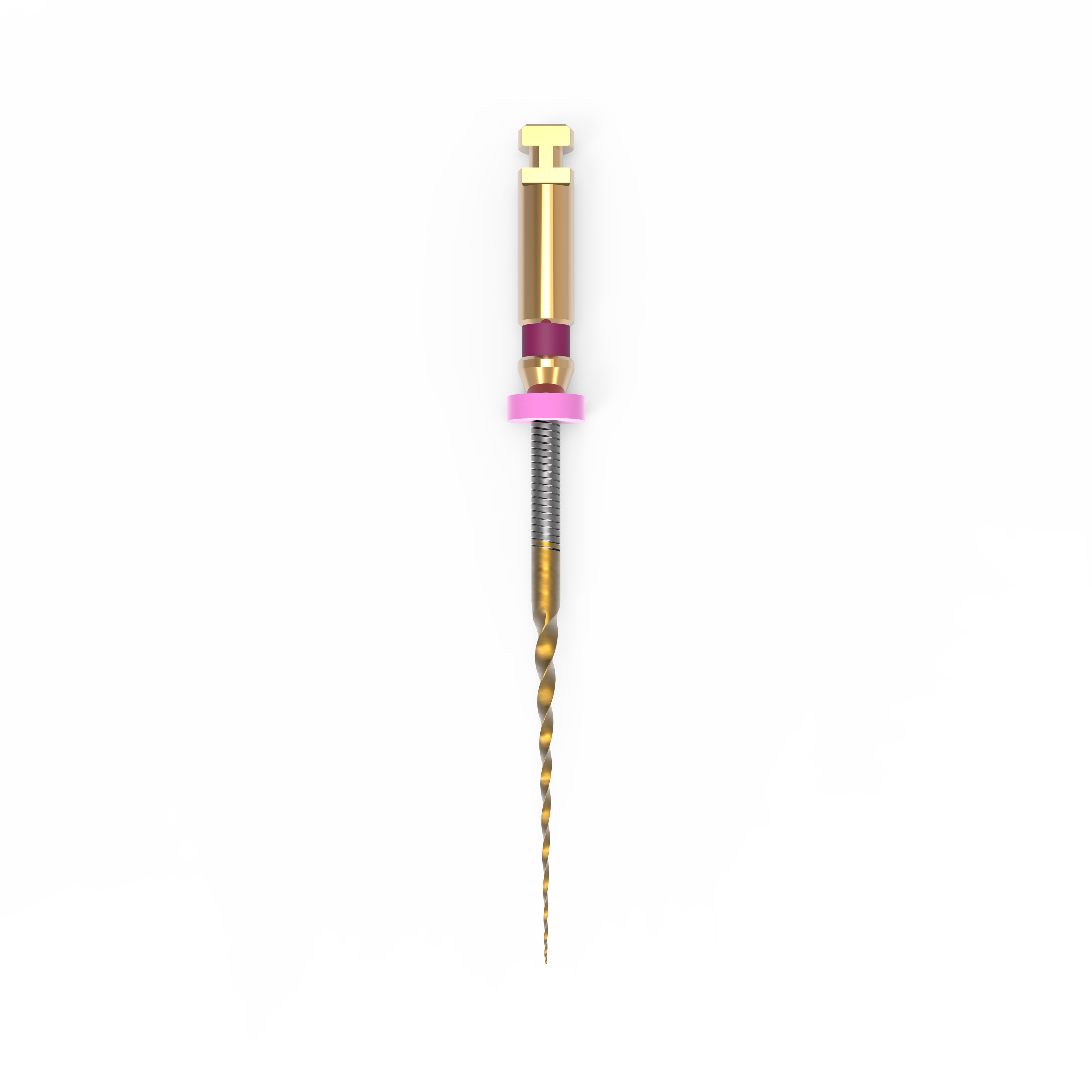 Endofiles