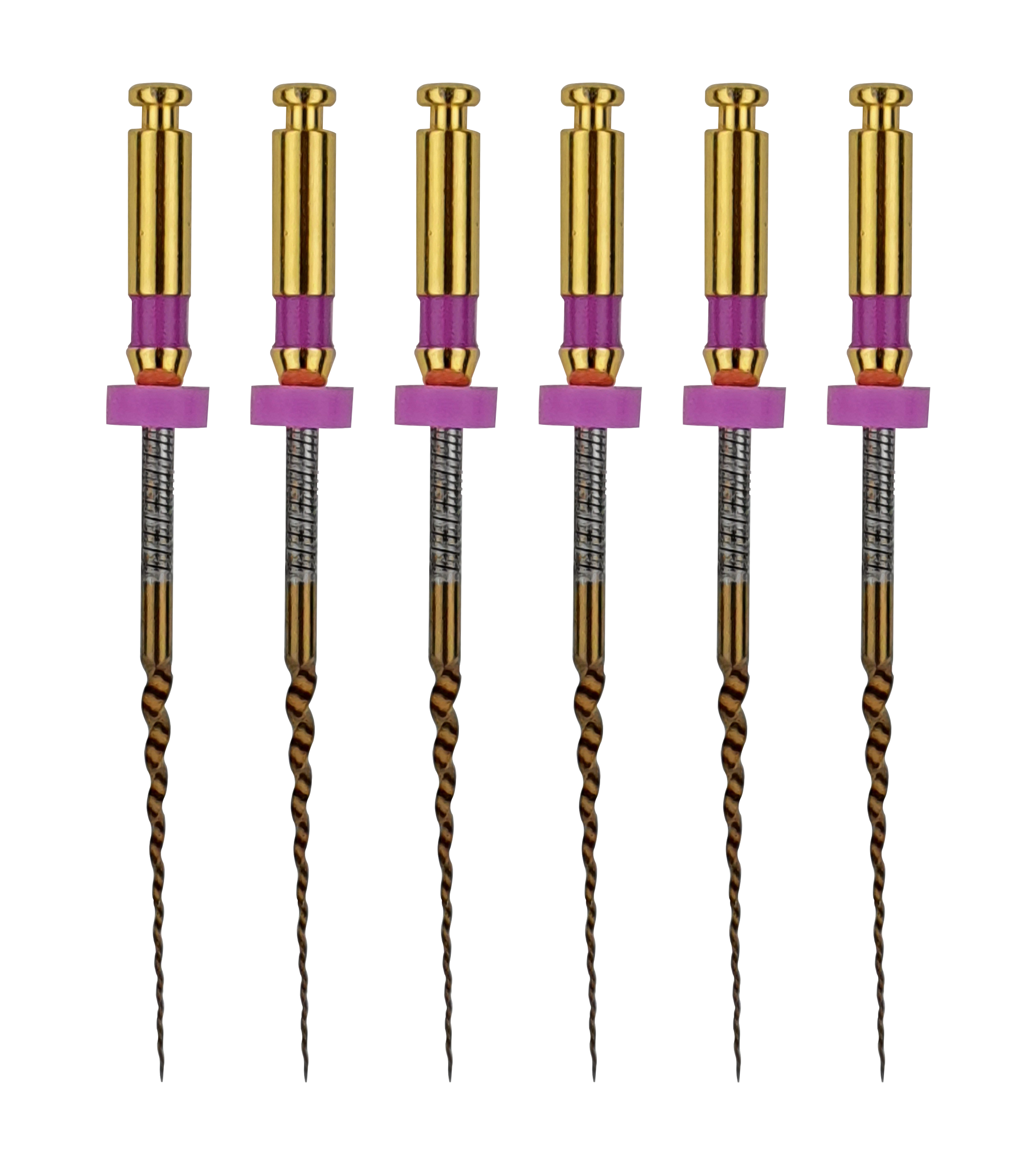 Denflex Spring Endo File — Set of 6